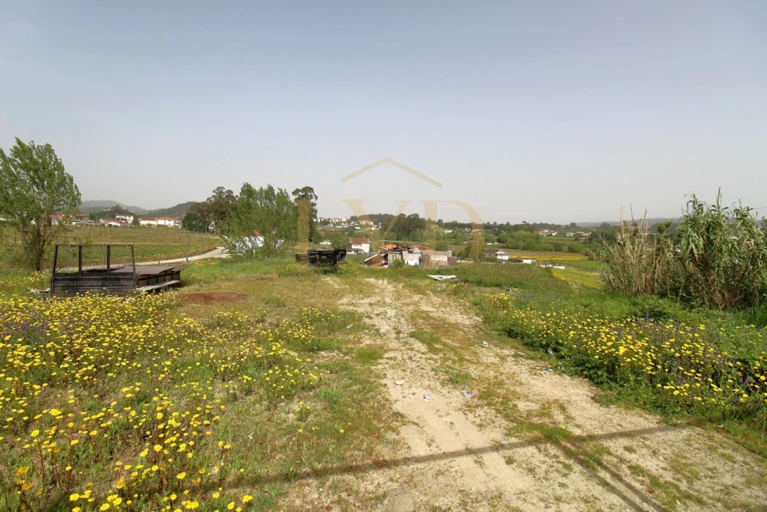 Terreno para Venda em Beire Foto 1