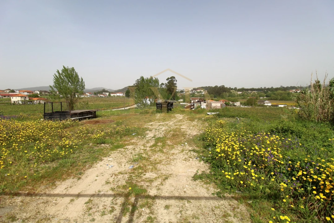 Terreno para Venda em Beire Foto 14
