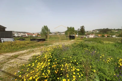 Terreno para Venda em Beire