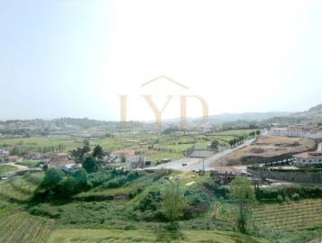 Terreno para Venda em Beire