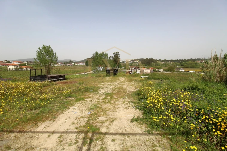 Terreno para Venda em Beire Foto 14