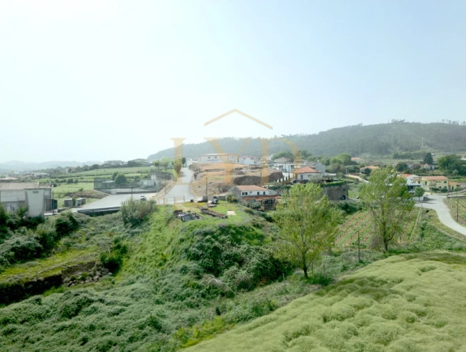 Terreno para Venda em Beire Foto 19