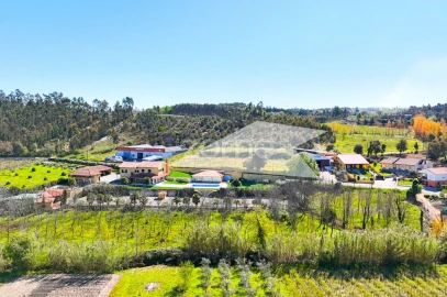 Terreno para Venda em São Lourenço do Bairro