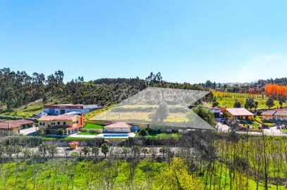 Terreno para Venda em São Lourenço do Bairro