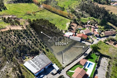 Terreno para Venda em São Lourenço do Bairro