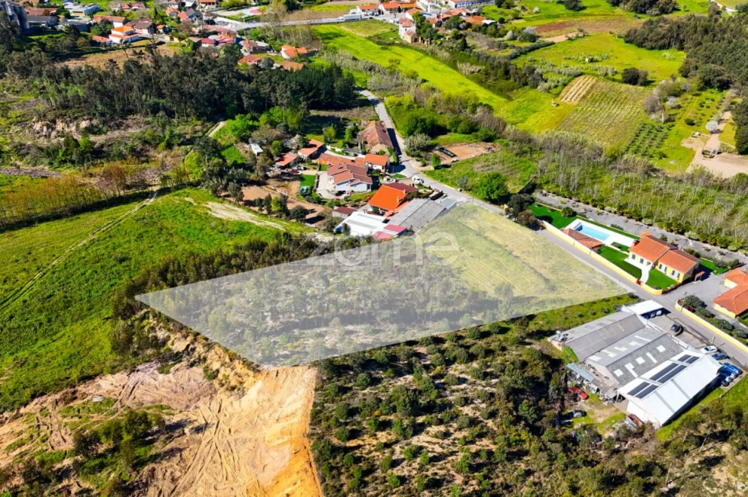 Terreno para Venda em São Lourenço do Bairro Foto 11