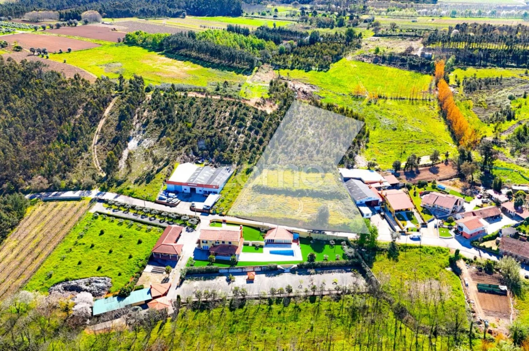 Terreno para Venda em São Lourenço do Bairro Foto 6