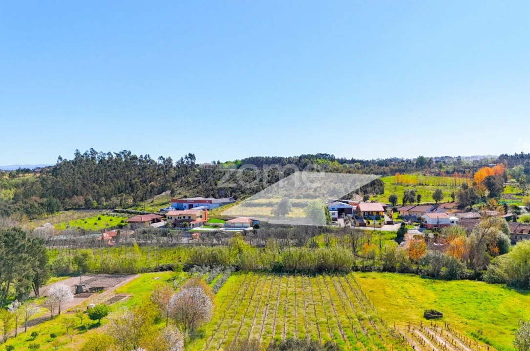 Terreno para Venda em São Lourenço do Bairro Foto 5