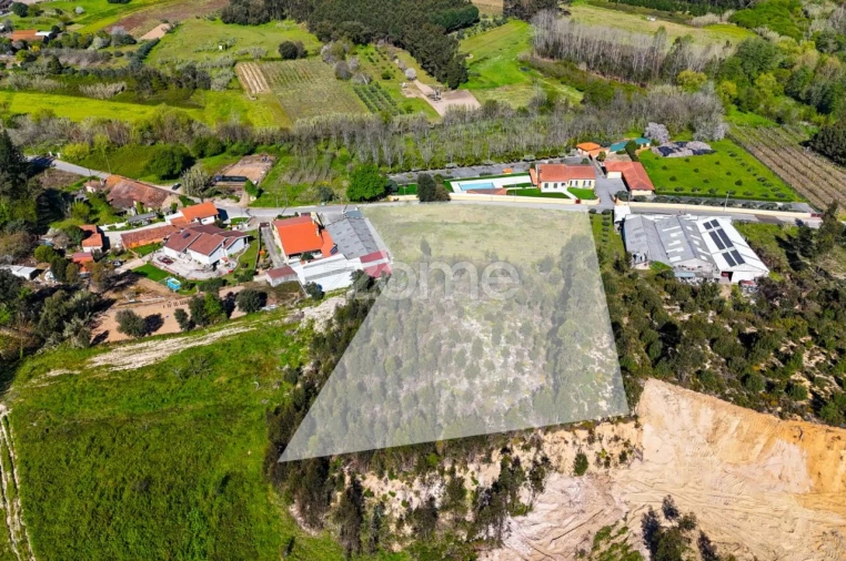 Terreno para Venda em São Lourenço do Bairro Foto 15