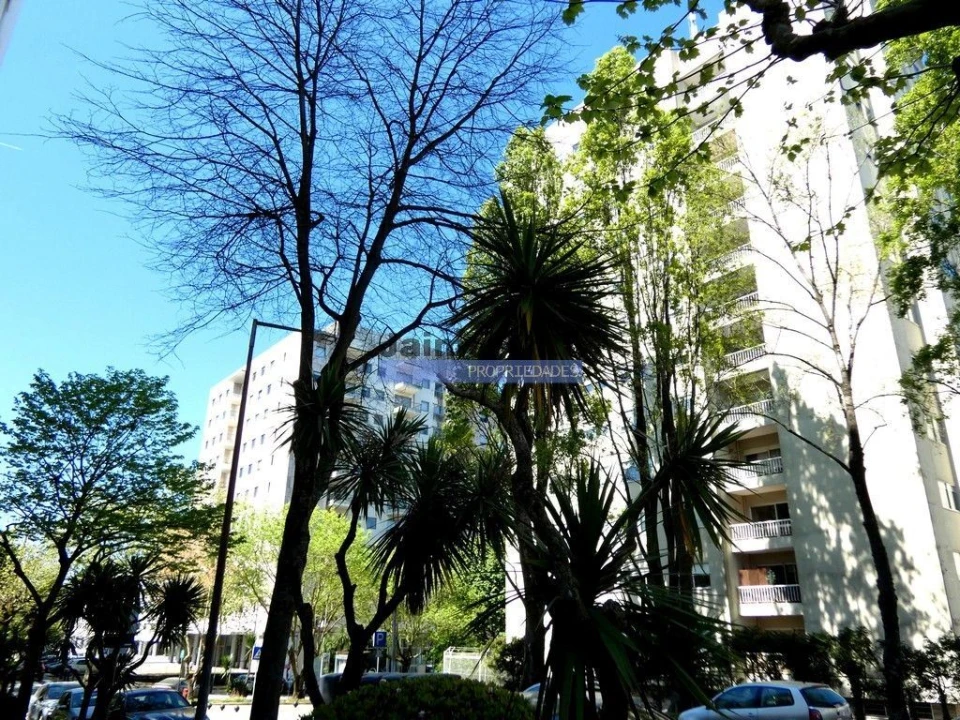 Apartamento T3 para Venda em Aldoar, Foz do Douro e Nevogilde Foto 2