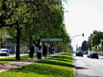 Apartamento T3 para Venda em Aldoar, Foz do Douro e Nevogilde