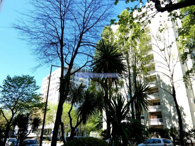 Apartamento T3 para Venda em Aldoar, Foz do Douro e Nevogilde Foto 2