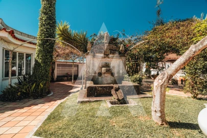 Moradia T4 para Venda em Nogueira e Silva Escura