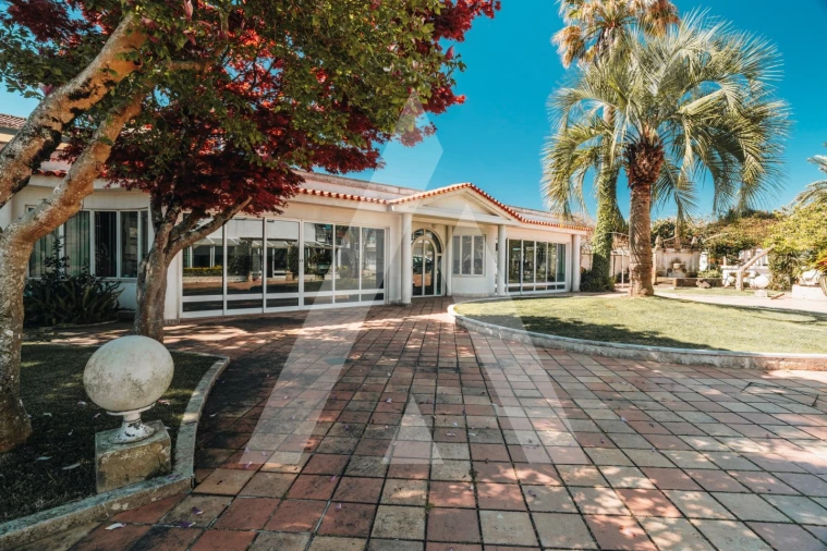 Moradia T4 para Venda em Nogueira e Silva Escura Foto 28