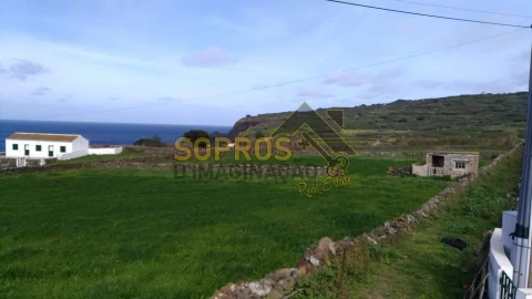 Terreno para Venda em Cinco Ribeiras