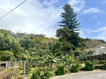 Moradia T3 para Venda em Angra (São Pedro)