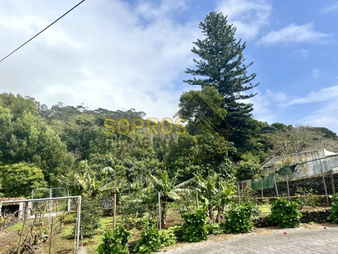 Moradia T3 para Venda em Angra (São Pedro) Foto 24