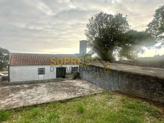 Moradia T3 para Venda em Doze Ribeiras Foto 4