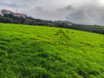 Terreno para Venda em Doze Ribeiras