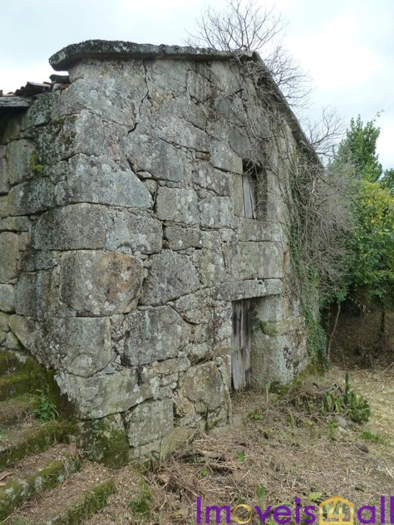 Quinta T0 para Venda em Ruivães e Campos Foto 7