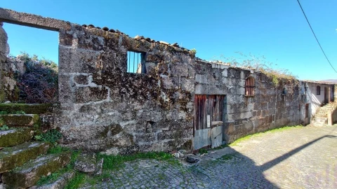 Quinta T0 para Venda em Ruivães e Campos