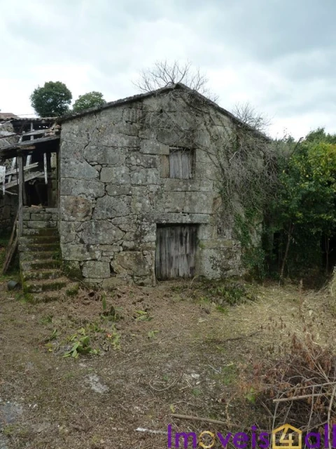 Quinta T0 para Venda em Ruivães e Campos
