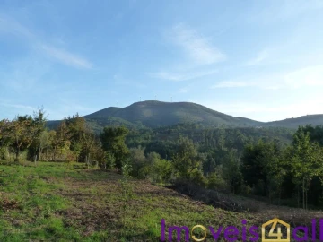 Quinta T0 para Venda em Ruivães e Campos