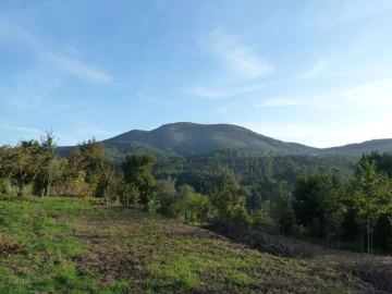 Quinta T0 para Venda em Ruivães e Campos