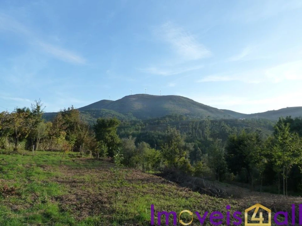 Quinta T0 para Venda em Ruivães e Campos Foto 9