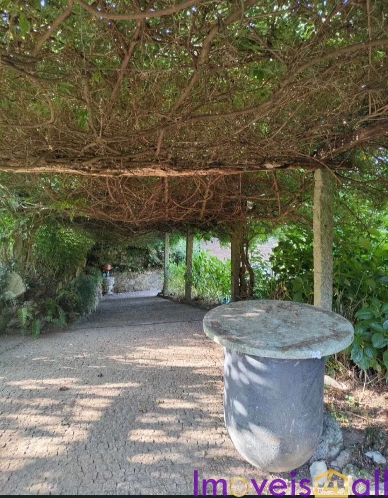 Terreno para Venda em Pinheiro da Bemposta, Travanca e Palmaz Foto 3