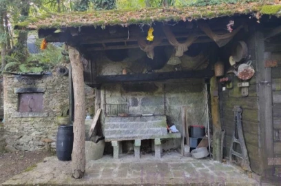 Terreno para Venda em Pinheiro da Bemposta, Travanca e Palmaz