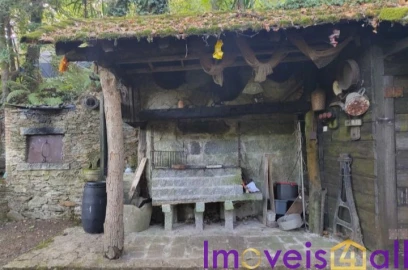 Terreno para Venda em Pinheiro da Bemposta, Travanca e Palmaz