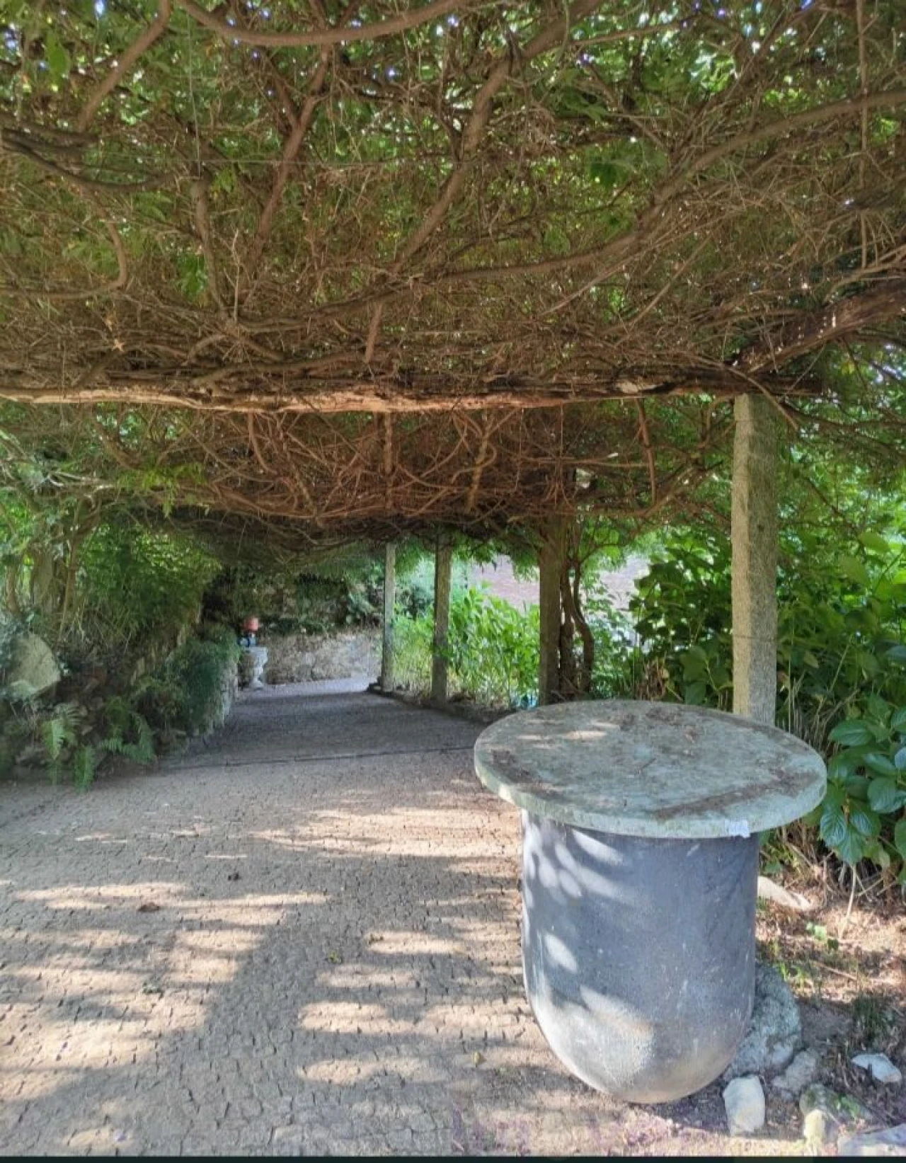 Terreno para Venda em Pinheiro da Bemposta, Travanca e Palmaz Foto 3