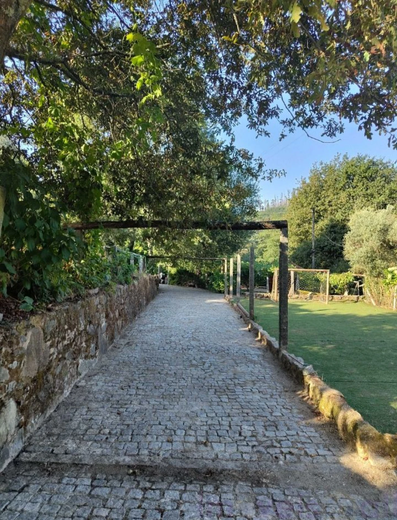 Terreno para Venda em Pinheiro da Bemposta, Travanca e Palmaz Foto 4