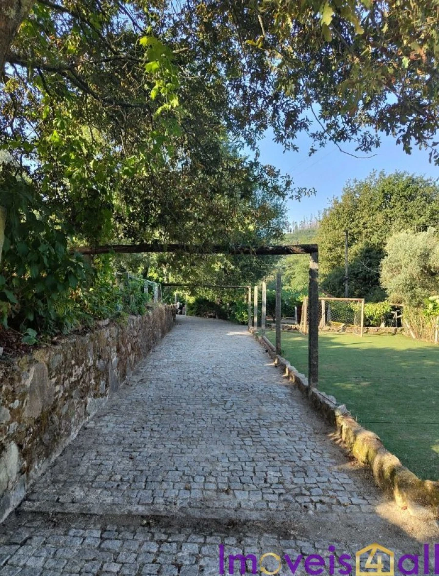 Terreno para Venda em Pinheiro da Bemposta, Travanca e Palmaz Foto 4