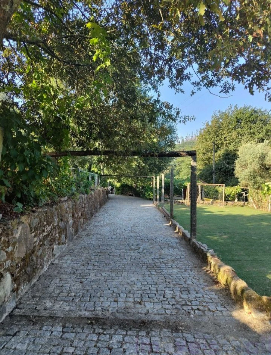 Terreno para Venda em Pinheiro da Bemposta, Travanca e Palmaz Foto 4