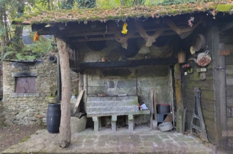 Terreno para Venda em Pinheiro da Bemposta, Travanca e Palmaz Foto 6