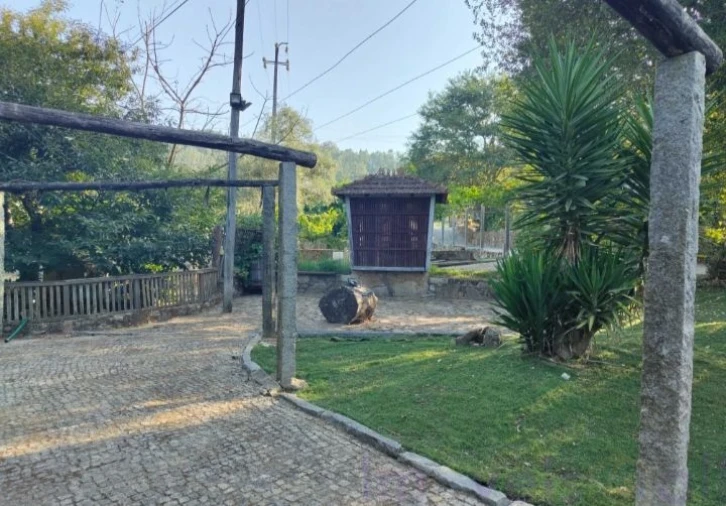 Terreno para Venda em Pinheiro da Bemposta, Travanca e Palmaz Foto 2