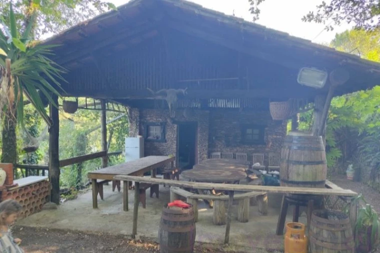 Terreno para Venda em Pinheiro da Bemposta, Travanca e Palmaz Foto 7