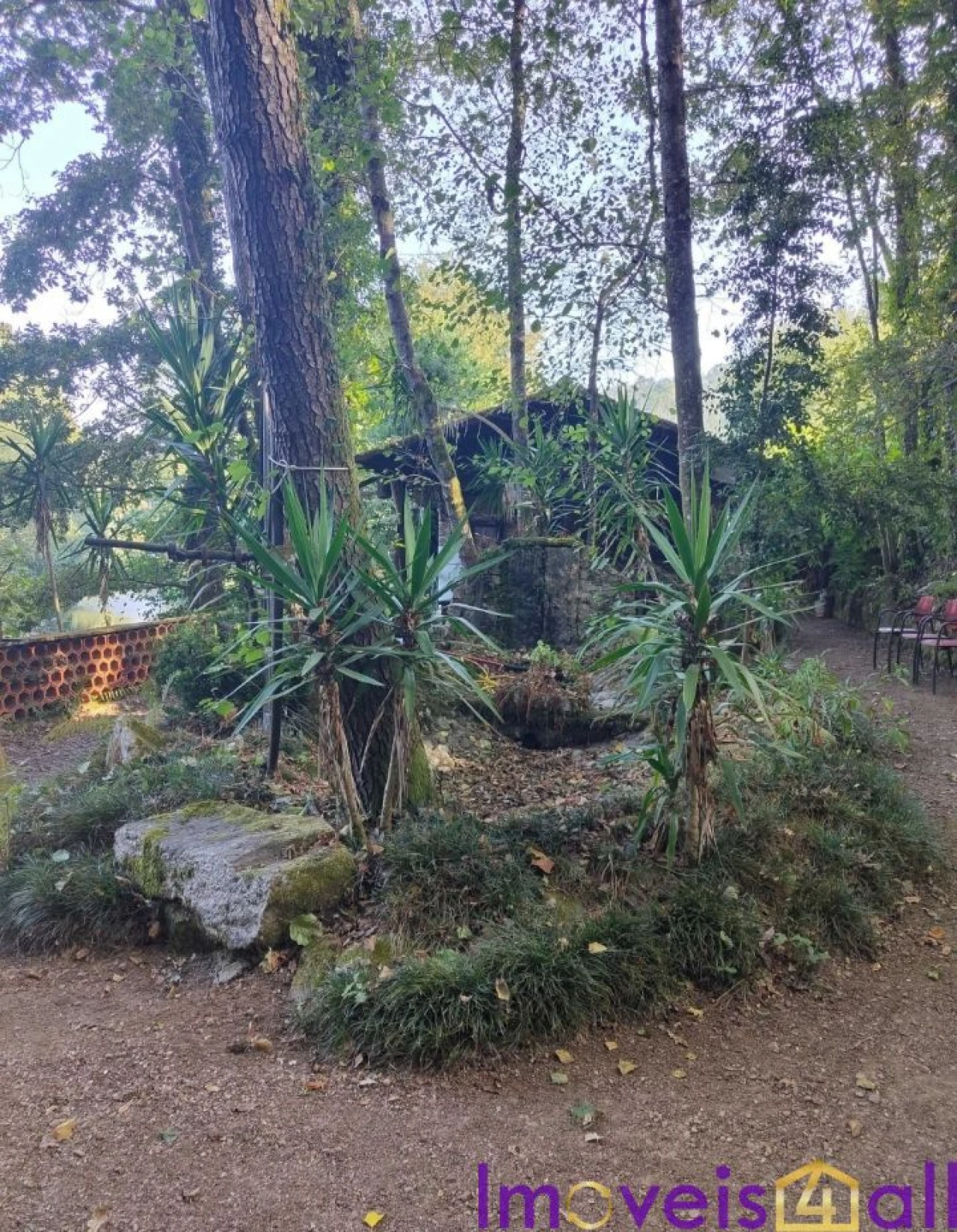 Terreno para Venda em Pinheiro da Bemposta, Travanca e Palmaz Foto 5