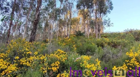 Terreno para Venda em Glória e Vera Cruz