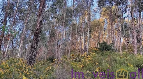 Terreno para Venda em Glória e Vera Cruz