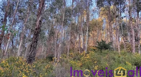 Terreno para Venda em Glória e Vera Cruz