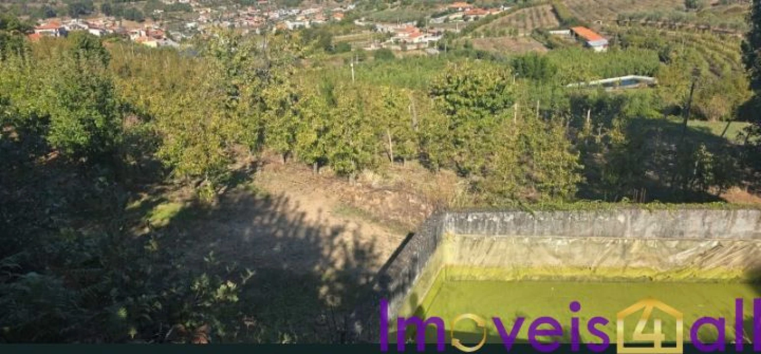 Quinta T8 para Venda em Adorigo Foto 9