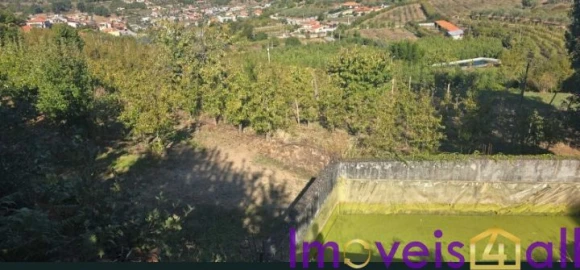 Quinta T8 para Venda em Adorigo