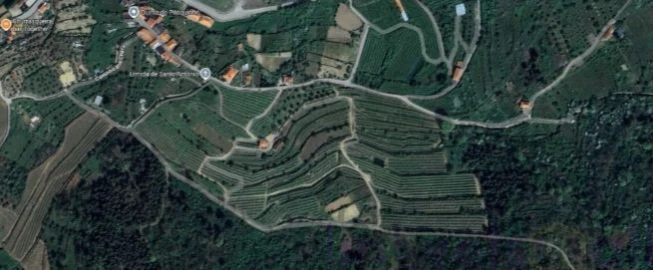 Quinta T8 para Venda em Adorigo