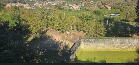 Quinta T8 para Venda em Adorigo