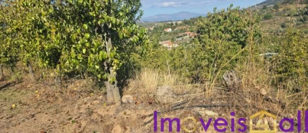 Quinta T8 para Venda em Adorigo