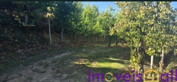 Quinta T8 para Venda em Adorigo