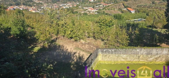Quinta T8 para Venda em Adorigo